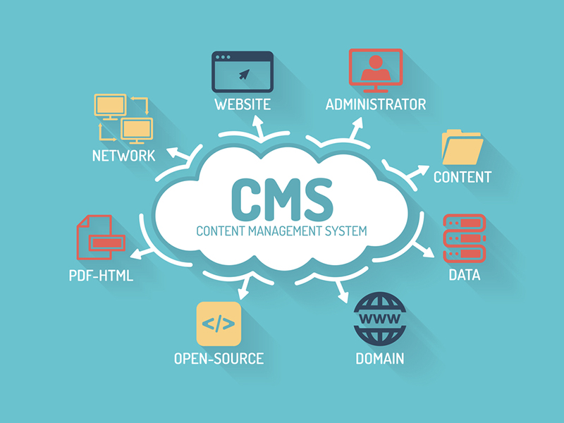 Custom CMS Development Services in Texas - Scalable Content Management Solutions